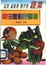 瓜菜  茄果类  薯芋类  蔬菜病虫害彩色图谱   1999  PDF电子版封面  7109055035  宋元林主编 
