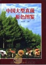 中国大型真菌原色图鉴   1998  PDF电子版封面  7109049418  黄年来主编 