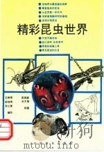 精彩昆虫世界   1992  PDF电子版封面  7503809426  王林瑶等编文；安英姬，王尔强绘画 