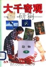 大千奇观·动物  下   1998  PDF电子版封面  7532346439  华惠伦，庄秀福编著 