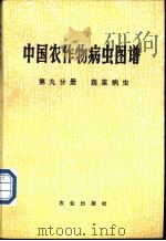 中国农作物病虫图谱  第9分册  蔬菜病虫   1984  PDF电子版封面  7109006506  《中国农作物病虫图谱》编绘组编绘 