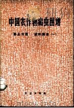 中国农作物病虫图谱  第5分册  油料病虫  1   1982  PDF电子版封面  16144·2328  《中国农作物病虫图谱》编绘组编绘 