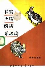 鹌鹑·火鸡·鹧鸪·珍珠鸡   1989  PDF电子版封面  7800221350  慎伟杰等编著 