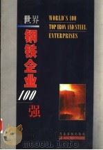 世界钢铁企业100  强（1999 PDF版）