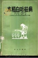 水稻白叶枯病   1963  PDF电子版封面  16114·1039  江西省农业科学研究所植物保护系编 