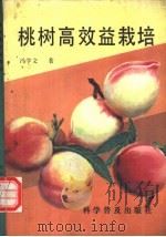 桃树高效益栽培   1993  PDF电子版封面  7110030407  冯学文著 