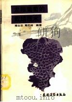 龙眼葡萄的栽培技术   1988  PDF电子版封面  750480701X  陈世贵，周国岭编著 