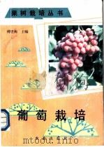 葡萄栽培   1990  PDF电子版封面  7109012646  傅望衡主编 