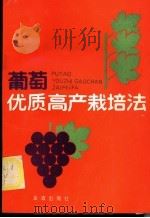 葡萄优质高产栽培法   1989  PDF电子版封面  7800221466  赵庆华，殷朝洲，范梦根等编著 