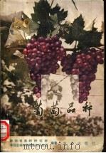 葡萄品种   1977  PDF电子版封面  16144·1760  陕西省果树研究所，中国农林科学院果树试验站编著 