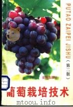 葡萄栽培技术   1997  PDF电子版封面  7508204689  刘捍中，石桂英编著 