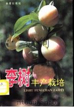 李树丰产栽培   1992  PDF电子版封面  780022483X  蔡达荣编著 