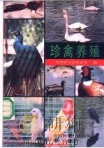 珍禽养殖   1991  PDF电子版封面  7504602736  中国农学会科普部编 