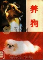 养狗   1993  PDF电子版封面  7536424299  杨光荣等编著 