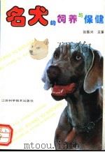 名犬的饲养与保健   1993  PDF电子版封面  753451715X  张振兴主编 