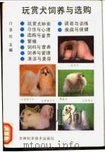 玩赏犬饲养与选购   1992  PDF电子版封面  7538410252  白景煌主编 