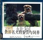 世界名犬的鉴赏与饲养   1993.06  PDF电子版封面  7506003422  石松编著 