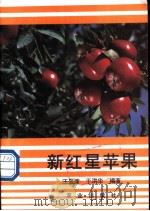新红星苹果   1987  PDF电子版封面  7109000729  汪景彦，于洪华编著 