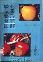 矮化苹果整形修剪图解   1993  PDF电子版封面  7536915454  杨维兴等编译；朱强绘图 