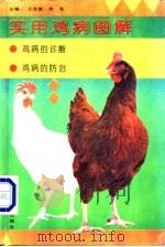 实用鸡病图解   1995  PDF电子版封面  7537514089  王廷富，房海主编 