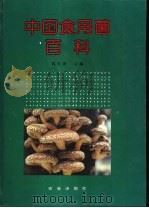 中国食用菌百科   1993  PDF电子版封面  7109026140  黄年来主编 