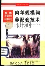 肉羊规模饲养配套技术   1997  PDF电子版封面  7533120124  王建民等编著 
