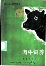 肉牛饲养   1987  PDF电子版封面  7109001091  （美）马舒斯麦（J.K.Matsushima）著 