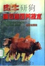 肉牛高效益饲养技术   1997  PDF电子版封面  7508203755  王加启等编著 