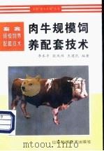 肉牛规模饲养配套技术   1997  PDF电子版封面  7533120000  李本亭等编著 
