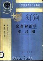 家畜解剖学实习图   1994  PDF电子版封面  7109027902  马仲华编著 