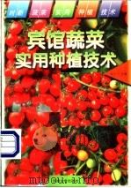 宾馆蔬菜实用种植技术   1997  PDF电子版封面  756301120X  张学平主编 