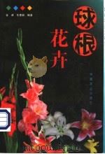 球根花卉   1999  PDF电子版封面  7109053954  金波，东惠茹编著 