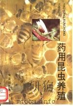 药用昆虫养殖   1995  PDF电子版封面  7800229726  王林瑶，张立峰编著 