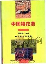 中国梅花鹿   1994  PDF电子版封面  7109032639  秦荣前主编 