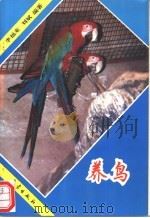 养鸟   1993  PDF电子版封面  7502913351  李福来，刘斌编著 
