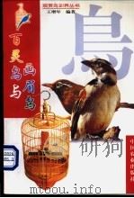 百灵鸟与画眉鸟   1999  PDF电子版封面  7109059855  王增年编著 