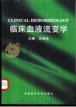 临床血液流变学   1999  PDF电子版封面  7810483420  王柏生主编 