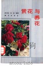 赏花与养花   1993  PDF电子版封面  7030034058  薛守纪，刘金编著 