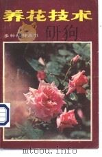 养花技术   1982  PDF电子版封面  16204·91  杨兴编 