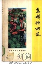 怎样种西瓜   1978  PDF电子版封面  16119·602  上海市农科院园艺所等编写 