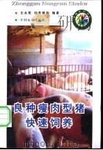 良种瘦肉型猪快速饲养   1998  PDF电子版封面  710904985X  王永军，田秀娥等编著 