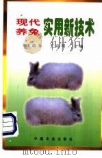 现代养兔实用新技术   1999  PDF电子版封面  7109054845  沈幼章，王启明主编 