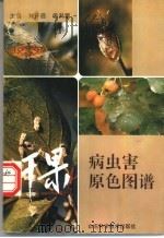 干果病虫害原色图谱   1995  PDF电子版封面  7533116321  刘开启，徐洪富主编 