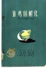 雏鸡的孵化   1974  PDF电子版封面  16072·1  天津市食品公司养鸭场编写 