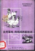 实用蛋鸡、肉鸡养殖新技术   1992  PDF电子版封面  7504109738  朱元照等编 