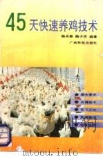 45天快速养鸡技术   1993  PDF电子版封面  7535910130  陈丰泰，魏子杰编著 