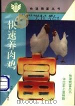 快速养肉鸡   1996  PDF电子版封面  7534918103  王清义等编著 