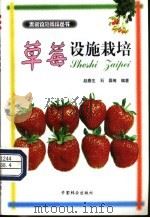 草莓设施栽培   1998  PDF电子版封面  7503820055  赵春生，石磊等编著 