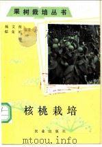核桃栽培   1987  PDF电子版封面  7109018156  杨文衡，郗荣庭编著 