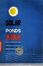 太阳池   1985  PDF电子版封面  13202·75  （美）法恩，（美）肖特著；张鹤飞等译 